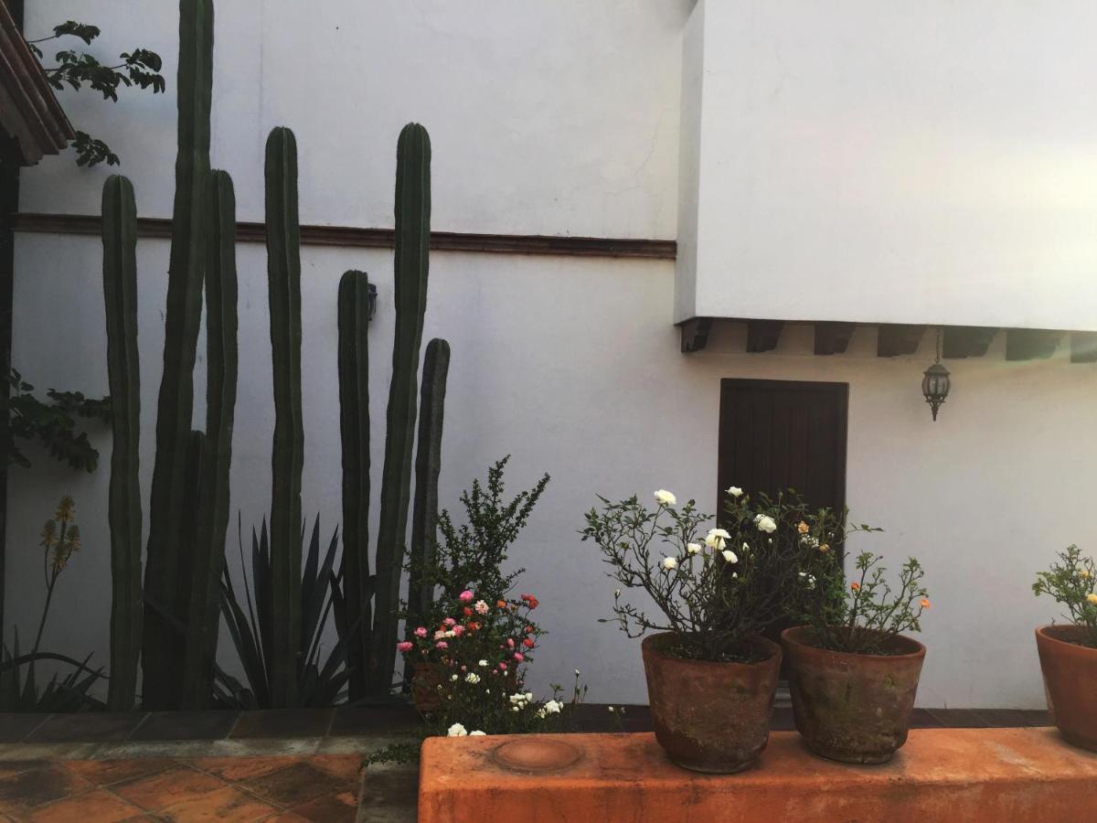 LAS ALAMEDAS Departamentos céntricos con estacionamiento privado Guanajuato Extérieur photo